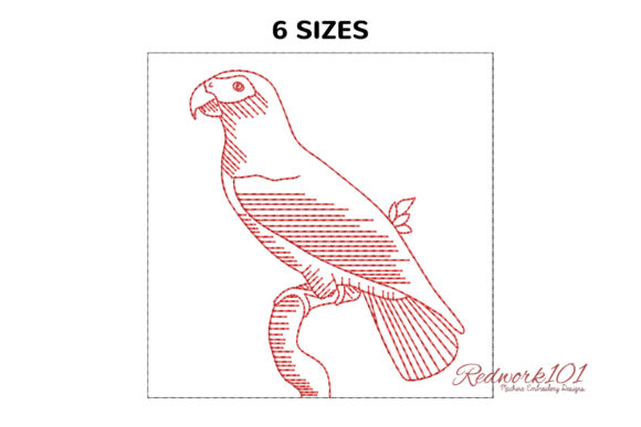 African Grey Parrot Design