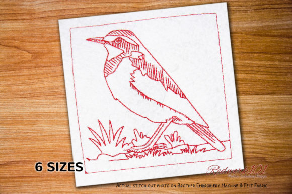 African Pied Wagtail Redwork