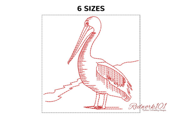 Pelican Standing on Sand Bluework